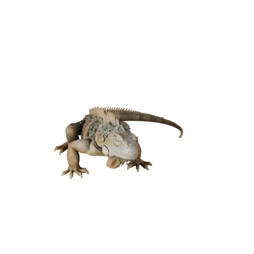 3D-модель игуаны STL с высокой детализацией, изометрический вид, готовая к печати фигурка животного с детализацией чешуи, пла