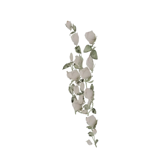 3D модель нежного венка из бледных роз и зеленых листьев, ниспадающего вниз, на белом фоне.