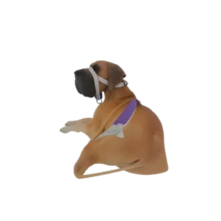 3D-модель дога, лежащего, в наморднике и фиолетово-белой шлейке, на белом фоне.