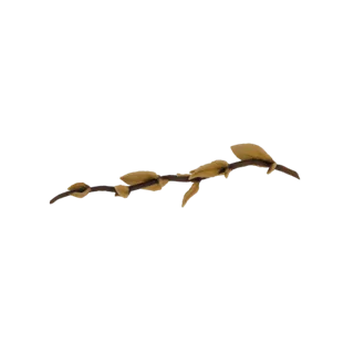 3D модель коричневой ветки магнолии с несколькими пушистыми светло-коричневыми бутонами, расположенными вдоль нее, на белом ф