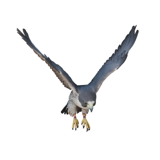 Сапсан 3D модель для Unity - Готовый игровой ассет, FBX