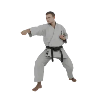 3D model of a male karateka in a white gi and black belt, in a dynamic punching pose, with arms extended and legs braced.