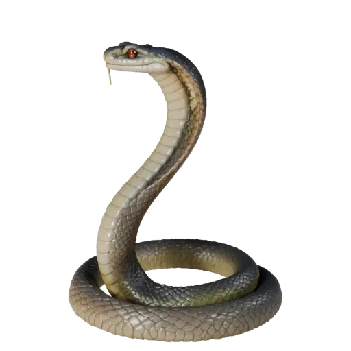 3D модель King Cobra, вид сбоку, рендер дикой природы, готовый для Blender ассет животного со складками кожи, формами спинног