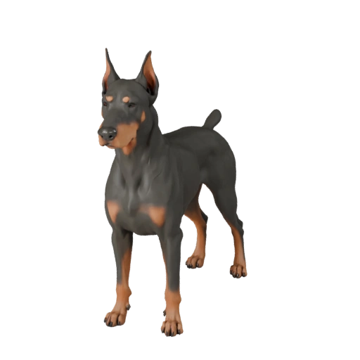 3D модель добермана пинчера для Blender - PBR ресурс с текстурами