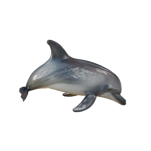 3D модель афалины для Unity - Готовый игровой ассет, FBX