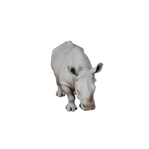3D модель Белого носорога, вид сбоку игровой камерой, готовый к использованию в Unity ассет животного с четкой анатомией, ест