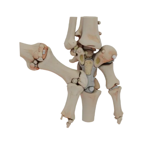 Высокополигональная 3D-модель костей кисти позвоночника, студийный рендер крупным планом, показывающий поверхности костей, ск