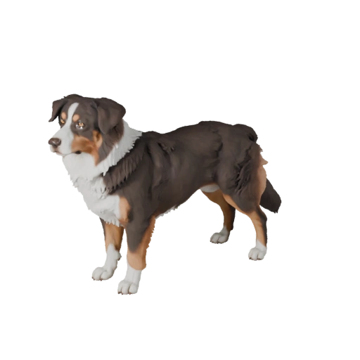 Реалистичная 3D модель австралийской овчарки - PBR ресурс для