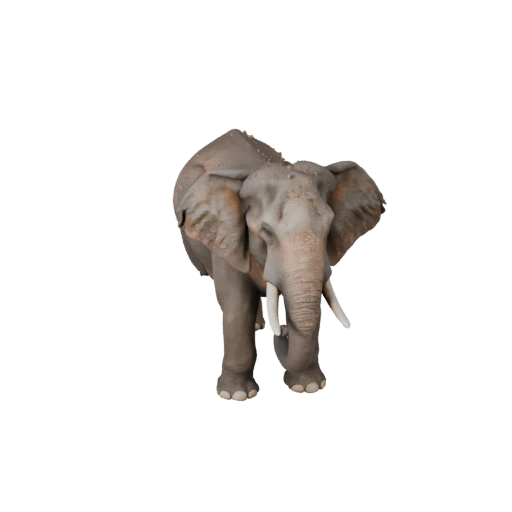 Реалистичный 3D-модель азиатского слона - rigged PBR актив для игр