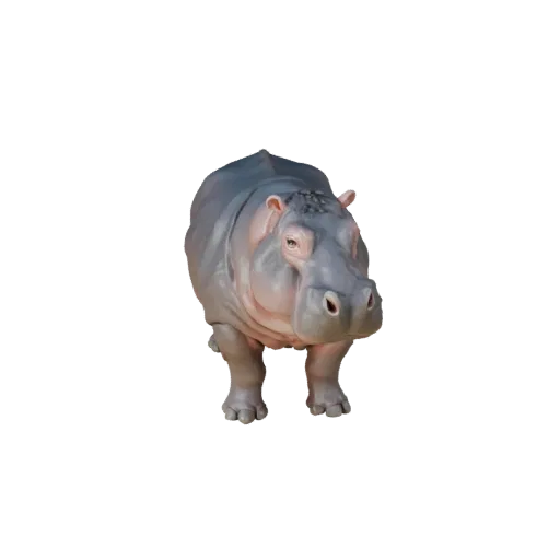 Реалистичная 3D модель бегемота, рендер дикой природы сбоку, готовый к анимации ассет животного с четкой анатомией, естествен
