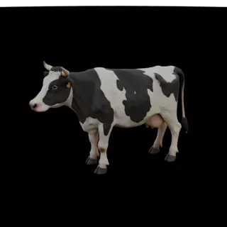 3D модель голштинской коровы в профиль, с черно-белыми пятнами, стоящая на черном фоне.