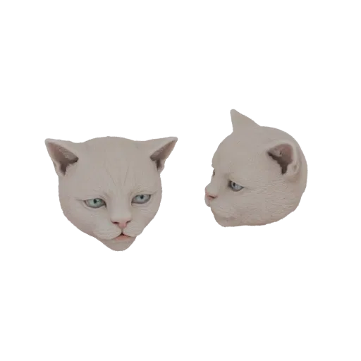 3D модель головы белой кошки, вид спереди и сбоку, с голубыми глазами и нейтральным выражением.
