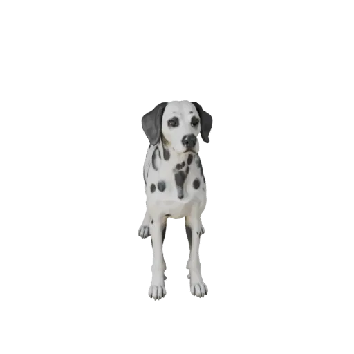 3D модель далматина, рендер животного в профиль, готовый для Blender ассет с направлением шерсти, объемом груди, структурой л