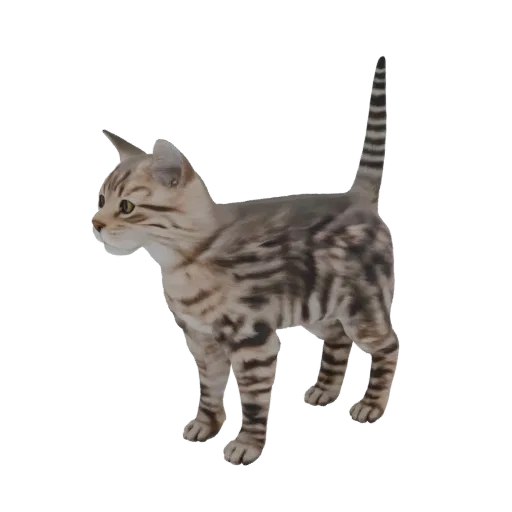 3D-модель стоящего полосатого кота с детализированной текстурой шерсти и полосатыми отметинами на белом фоне.