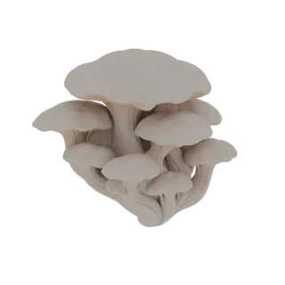 A 3D model render of a cluster of pale grey oyster mushrooms with distinct caps and stems, isolated on a white background.