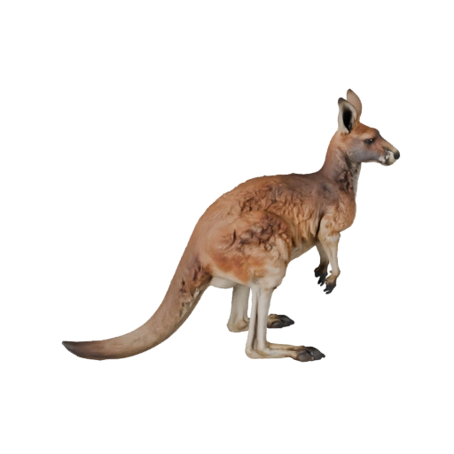 Реалистичный 3D модель кенгуру - rigged PBR ассет для игр | PBR